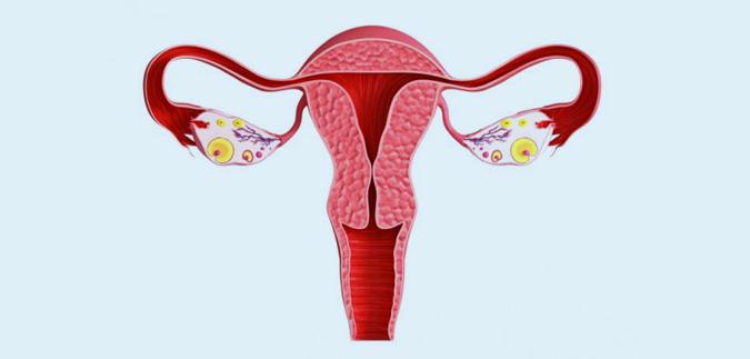 Progesterona baja: Causas, consecuencias y cura
