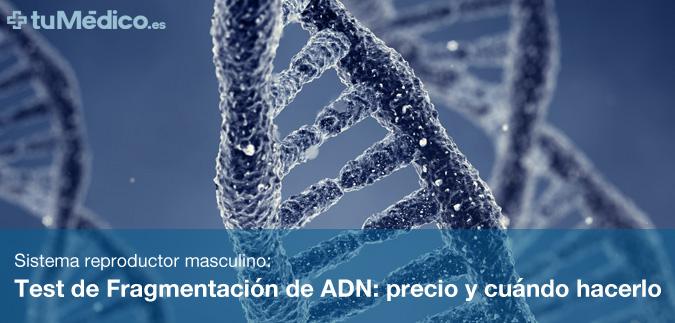 Test de Fragmentacin de ADN: precio y cundo hacerlo