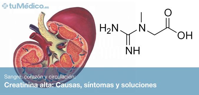 Creatinina alta: Causas, sntomas y soluciones 