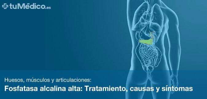 Fosfatasa alcalina alta: Tratamiento, causas y sntomas