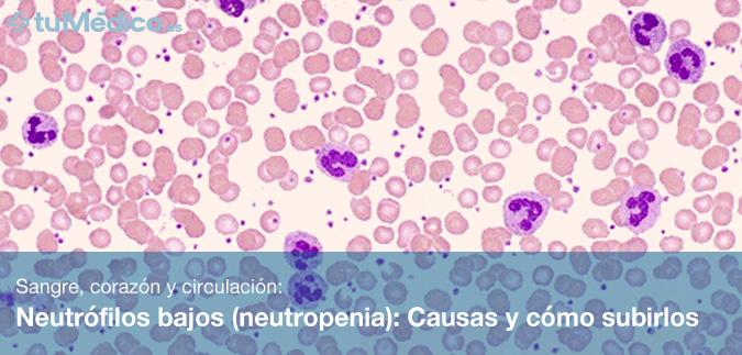 Neutrófilos bajos (neutropenia): Causas y cómo subirlos