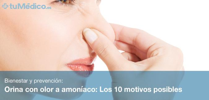 Orina con olor a amoníaco: Los 10 motivos posibles