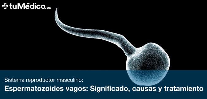 Espermatozoides vagos: Significado, causas y tratamiento