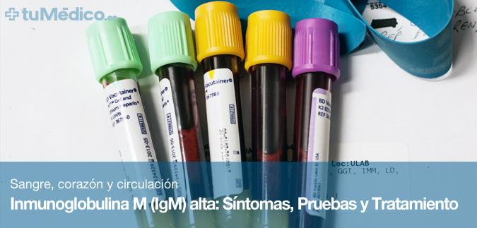 Inmunoglobulina M (IgM) alta: Síntomas, Pruebas y Tratamiento
