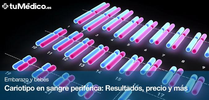 Cariotipo en sangre perifrica: Resultados, precio y ms