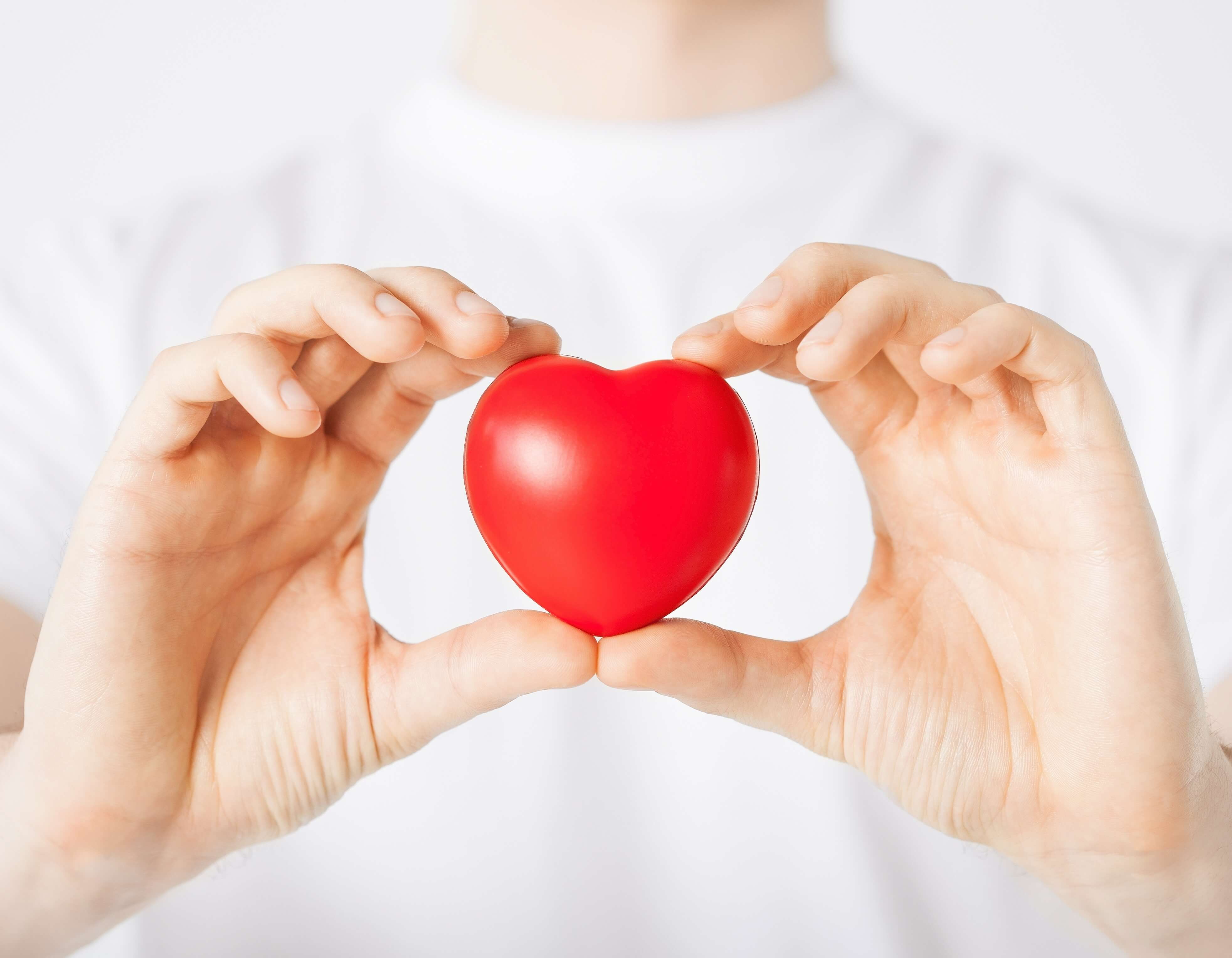“Nuestros ritmos de vida favorecen el desarrollo de enfermedades cardiovasculares”