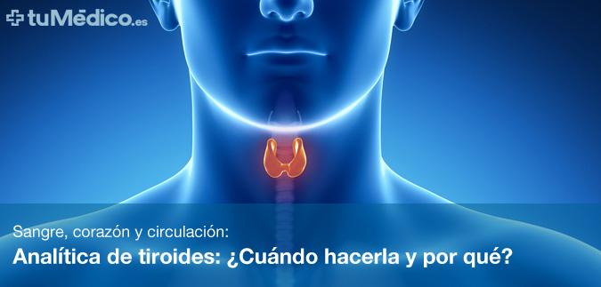 Analítica de tiroides: ¿Cuándo hacerla y por qué? Analítica de tiroides: ¿Cuándo hacerla y por qué?