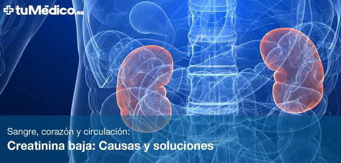 Creatinina baja: Causas y soluciones Creatinina baja: Causas y soluciones
