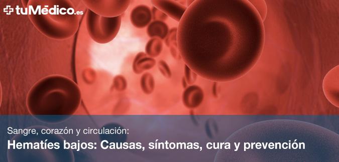 Hematíes bajos: Causas, síntomas, cura y prevención Hematíes bajos: Causas, síntomas, cura y prevención