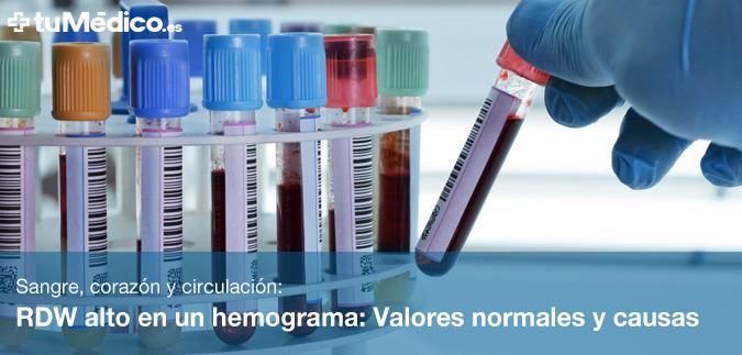 RDW alto en un hemograma: Valores normales y causas