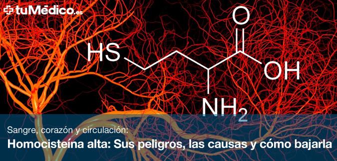 Homocistena alta: Sus peligros, las causas y cmo bajarla