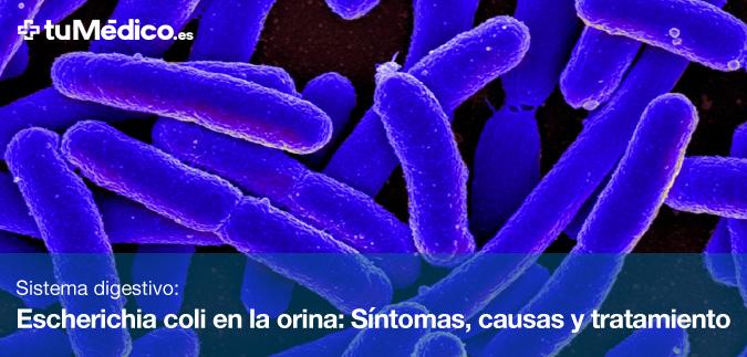 Escherichia coli en la orina: Síntomas, causas y tratamiento