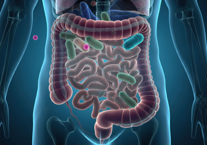 SIBO de hidr�geno: s�ntomas, causas y tratamiento espec�fico