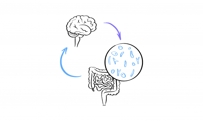 SIBO y ansiedad: la conexi�n entre el intestino y el estado de �nimo
